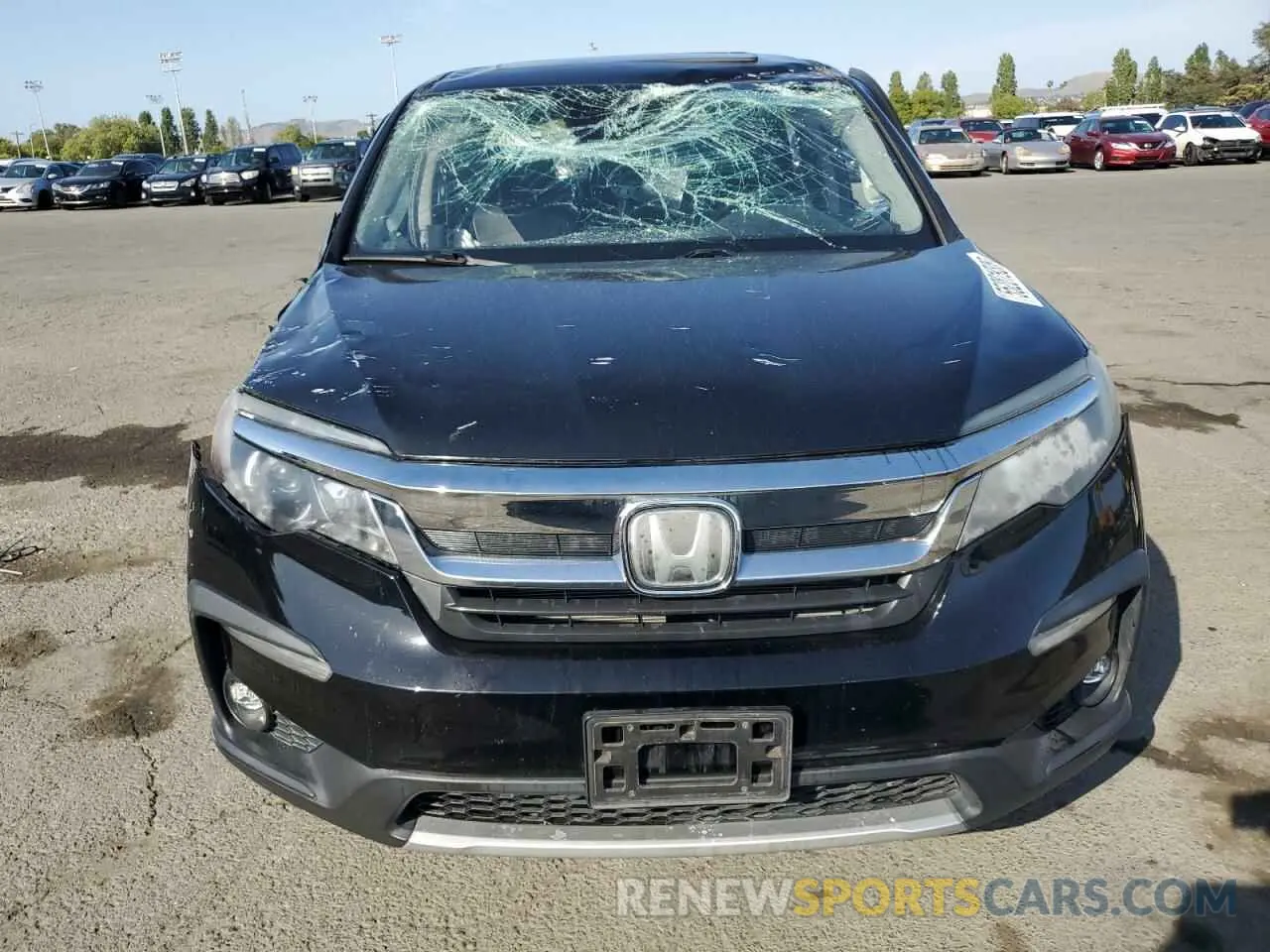 5 Photograph of a damaged car 5FNYF5H5XLB011429 HONDA PILOT 2020