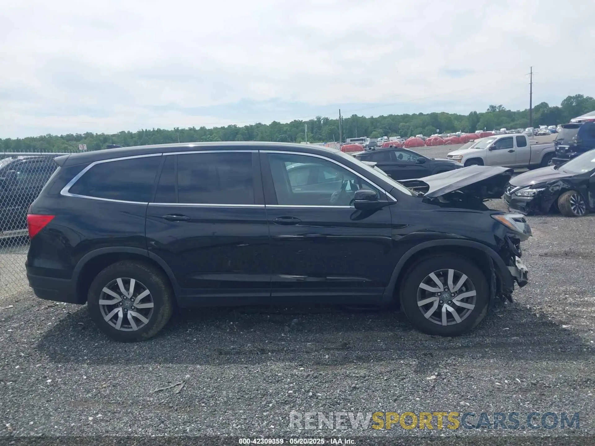 13 Photograph of a damaged car 5FNYF6H53MB097089 HONDA PILOT 2021