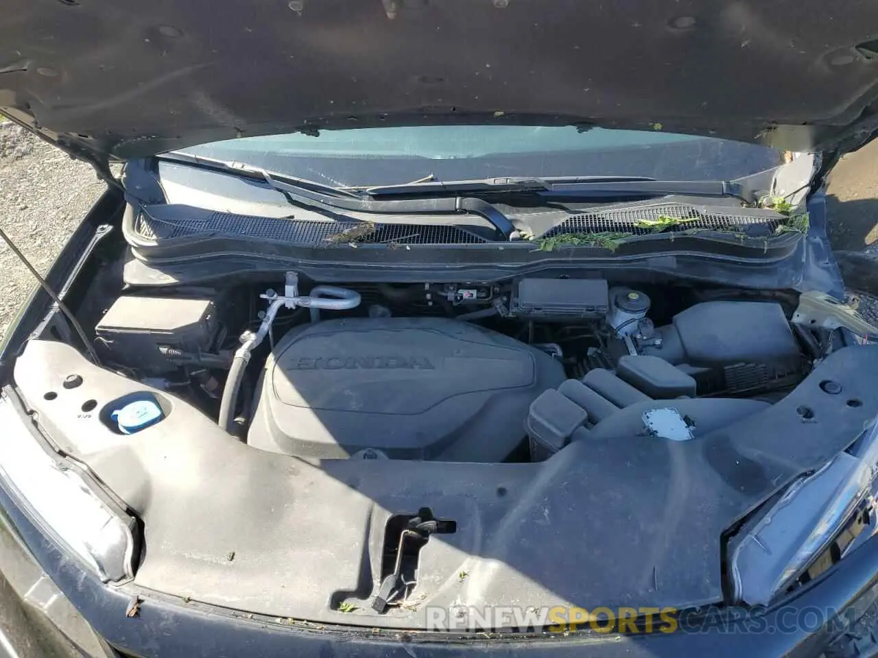 12 Photograph of a damaged car 5FNYF6H39NB074609 HONDA PILOT 2022