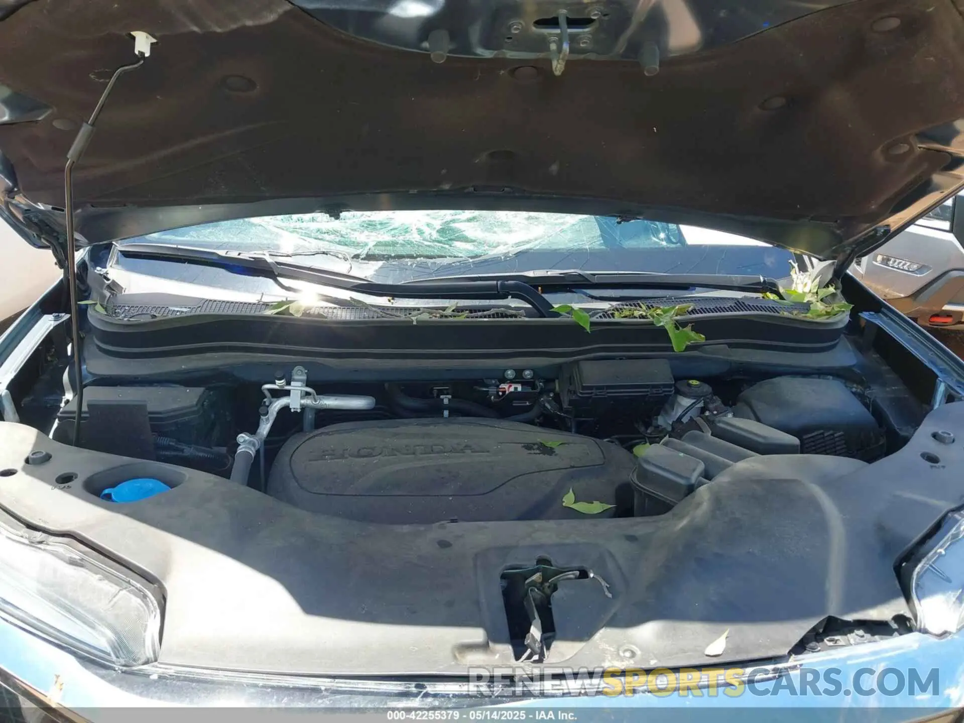 10 Photograph of a damaged car 5FNYF6H53NB023298 HONDA PILOT 2022