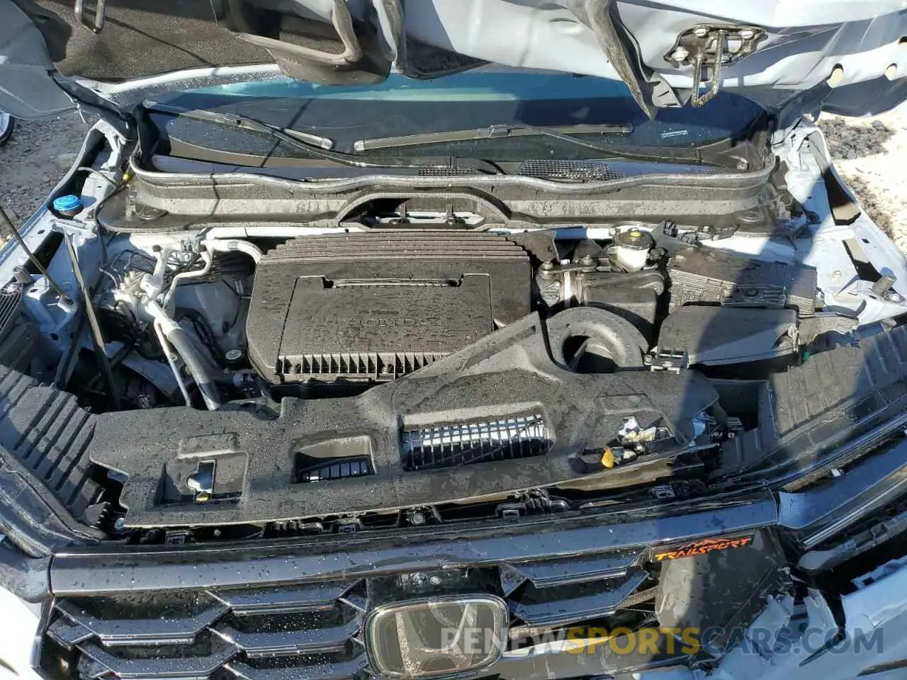11 Photograph of a damaged car 5FNYG1H62PB022686 HONDA PILOT 2023