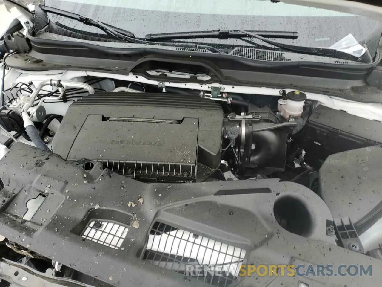 13 Photograph of a damaged car 5FNYG1H87RB036880 HONDA PILOT 2024