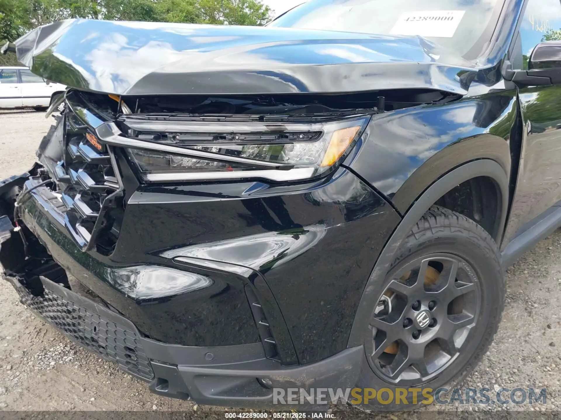 19 Photograph of a damaged car 5FNYG1H64SB022665 HONDA PILOT 2025
