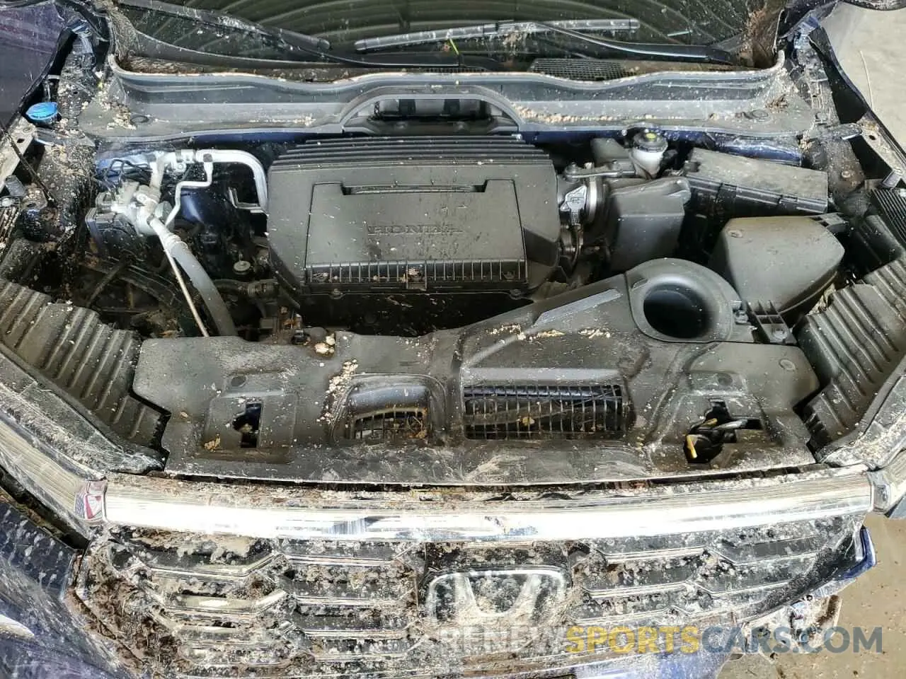 12 Photograph of a damaged car 5FNYG1H79SB043794 HONDA PILOT 2025
