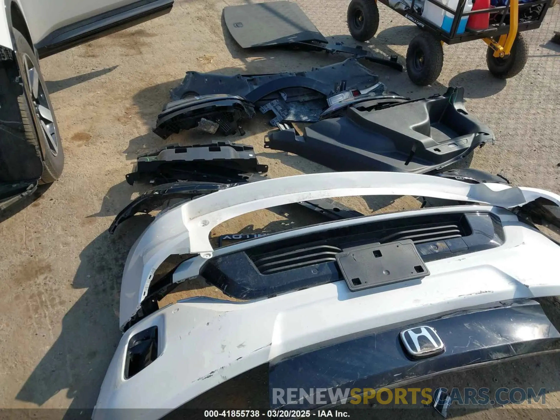 12 Photograph of a damaged car 3GPKHXRJ9RS504556 HONDA PROLOGUE 2024