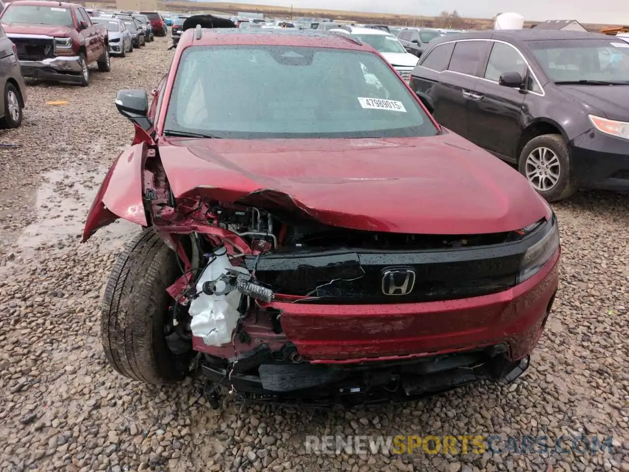 5 Photograph of a damaged car 3GPKHXRJ0RS528390 HONDA PROLOGUE T 2024