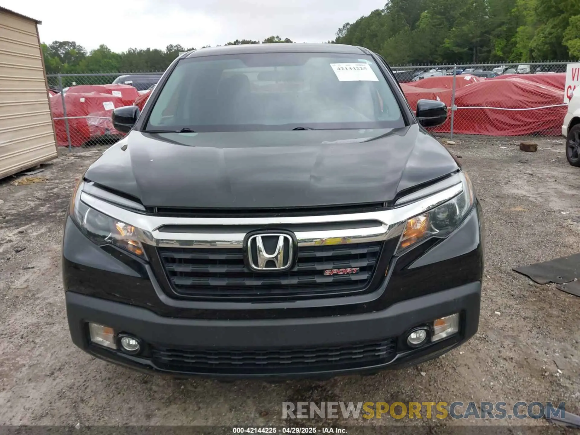 12 Photograph of a damaged car 5FPYK2F10KB008474 HONDA RIDGELINE 2019