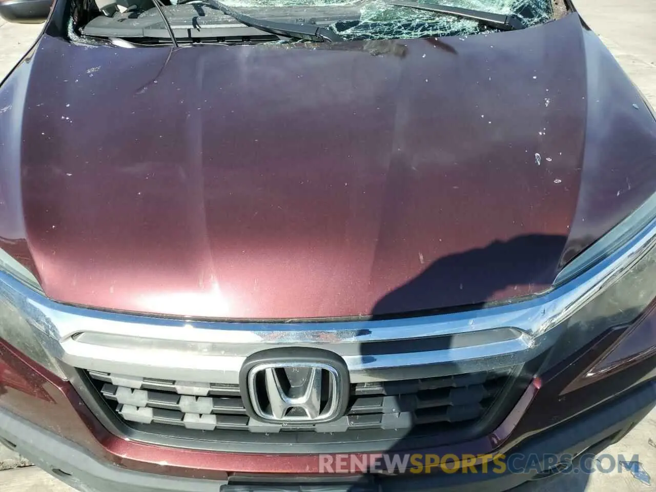 12 Photograph of a damaged car 5FPYK2F52KB001349 HONDA RIDGELINE 2019