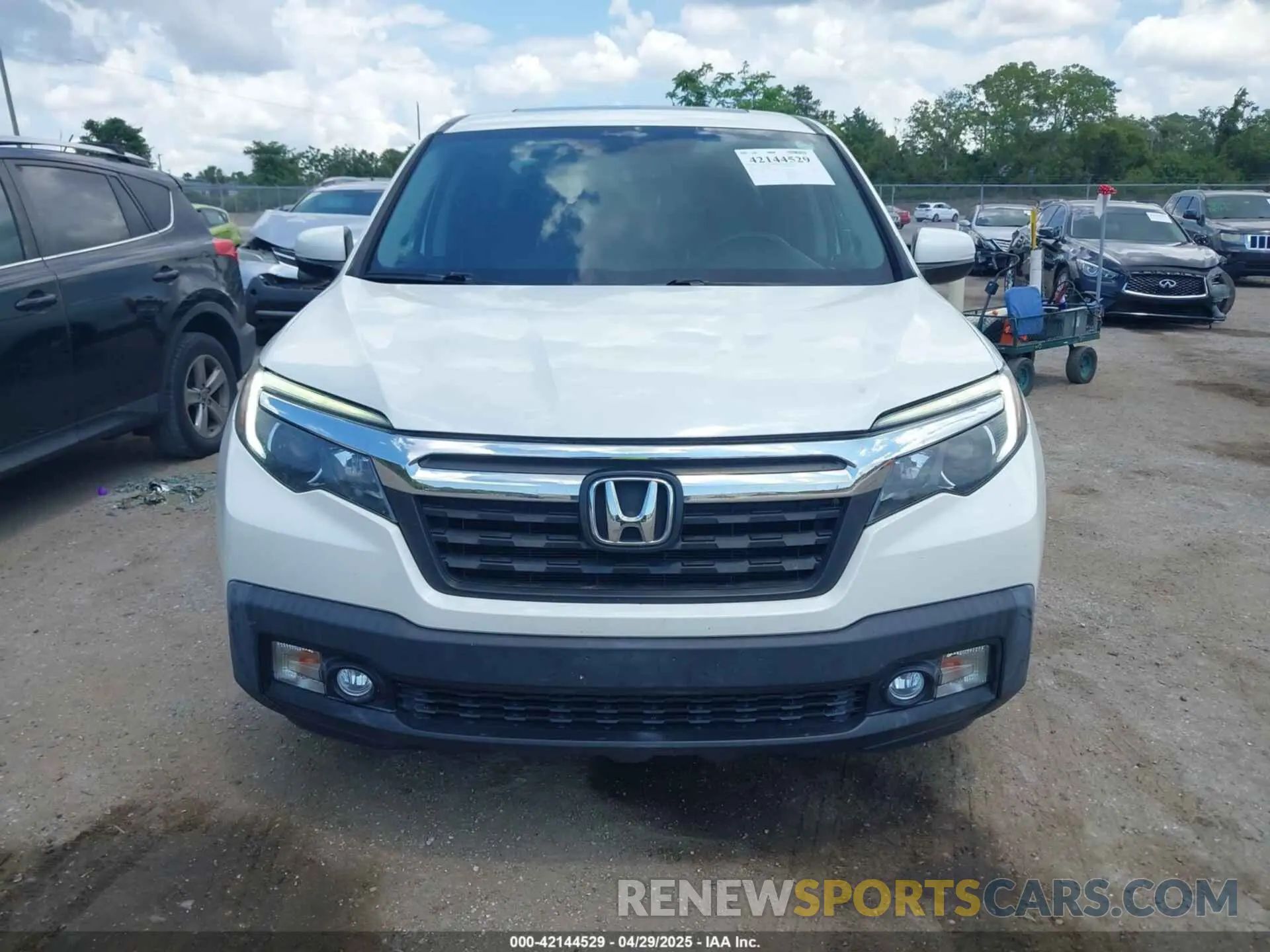 12 Photograph of a damaged car 5FPYK2F60KB000869 HONDA RIDGELINE 2019