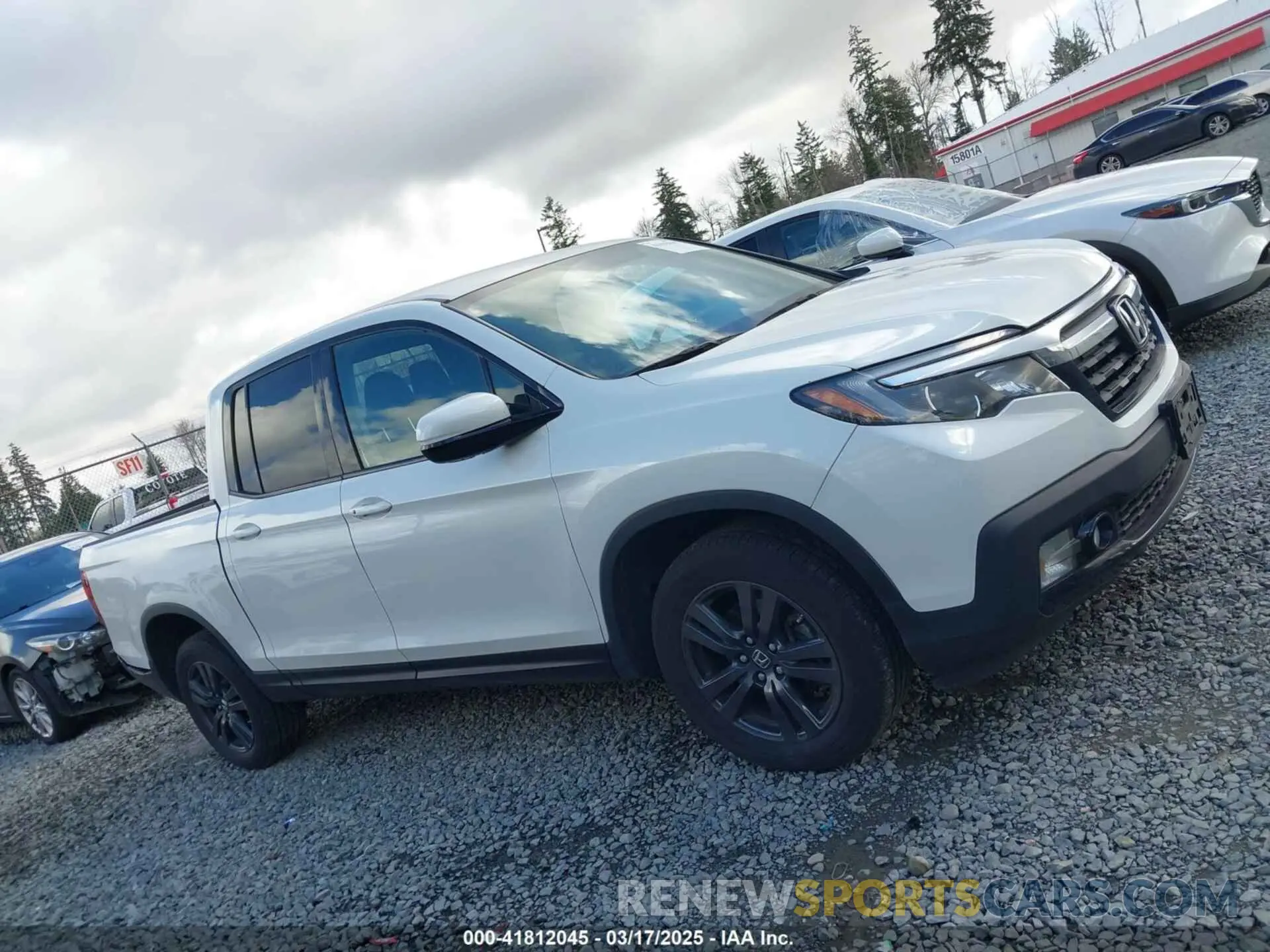 13 Photograph of a damaged car 5FPYK3F10KB045515 HONDA RIDGELINE 2019