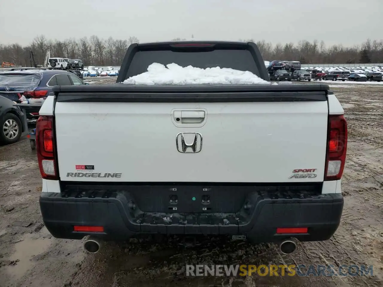 6 Photograph of a damaged car 5FPYK3F15MB018801 HONDA RIDGELINE 2021