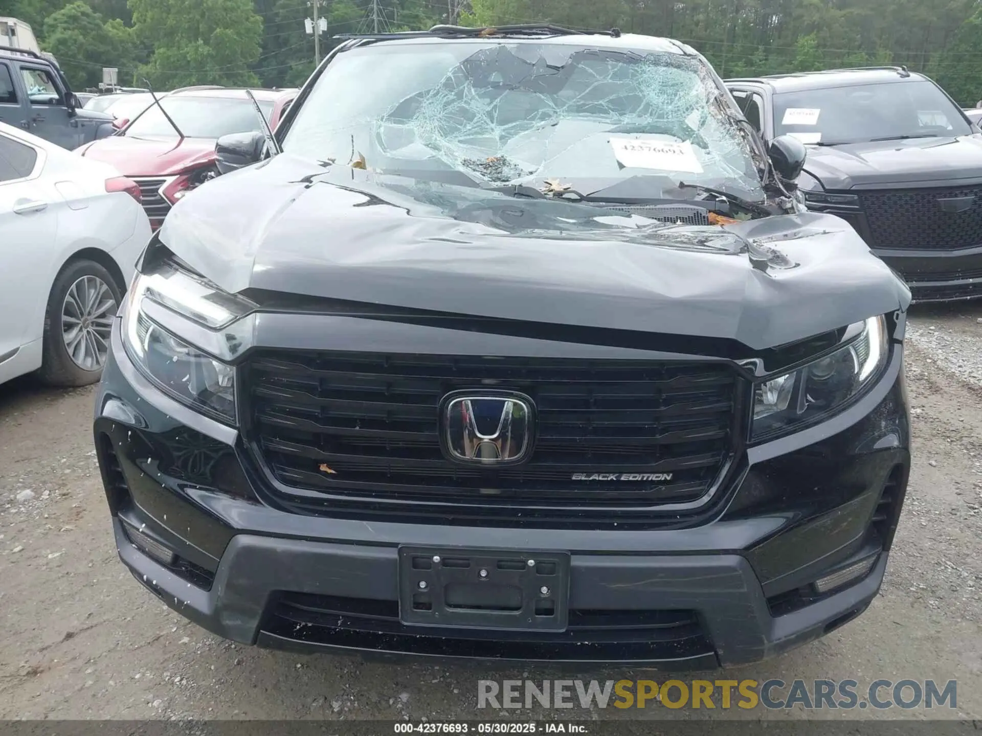12 Photograph of a damaged car 5FPYK3F86MB012423 HONDA RIDGELINE 2021