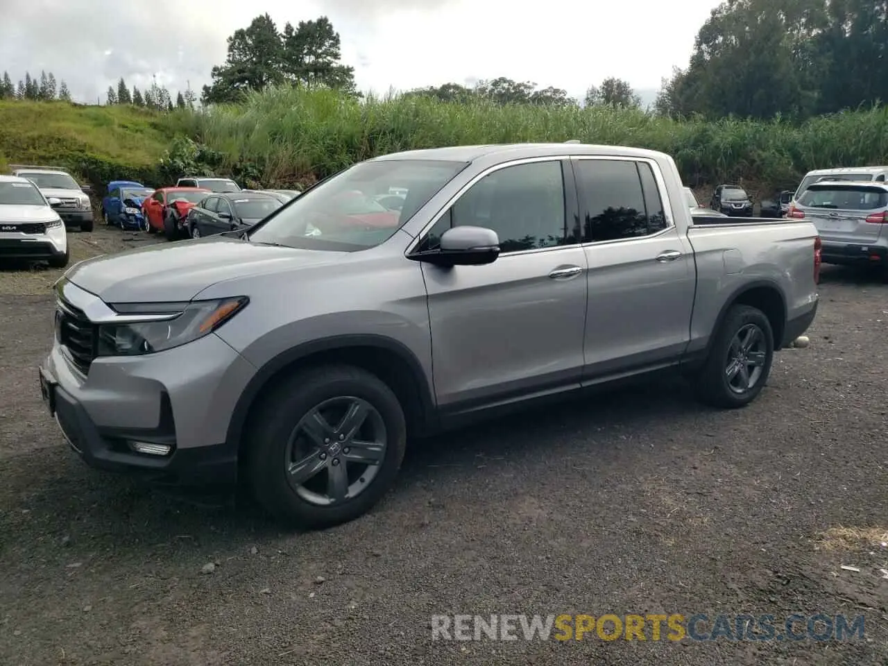 1 Photograph of a damaged car 5FPYK3F70NB006044 HONDA RIDGELINE 2022