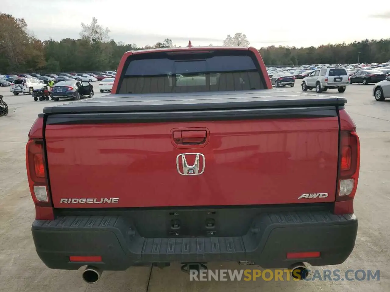6 Photograph of a damaged car 5FPYK3F74NB012879 HONDA RIDGELINE 2022