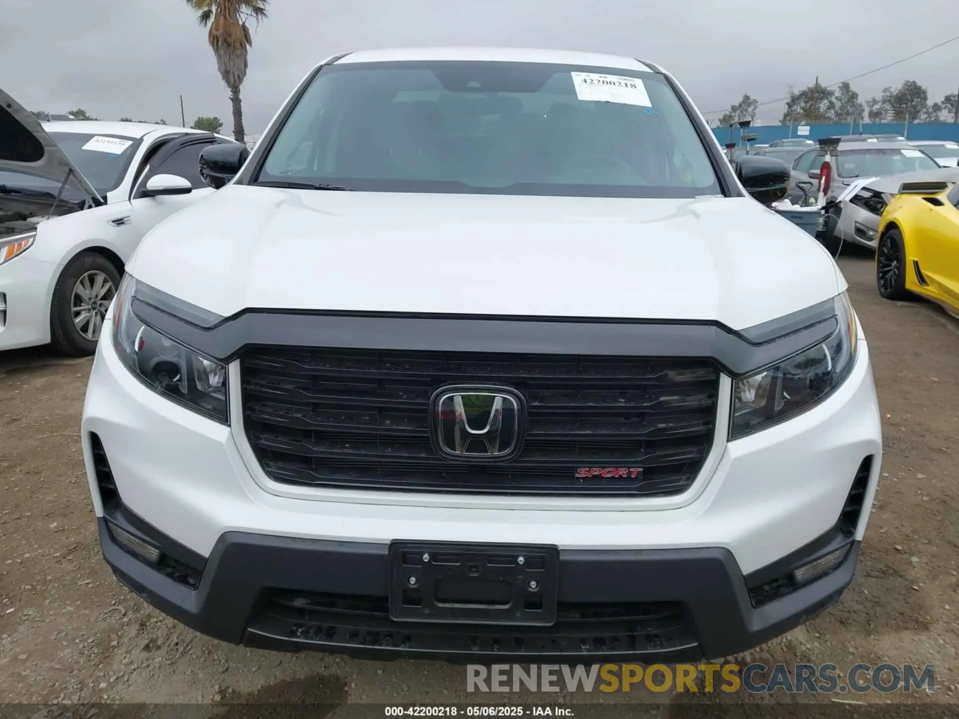 11 Photograph of a damaged car 5FPYK3F19PB057816 HONDA RIDGELINE 2023