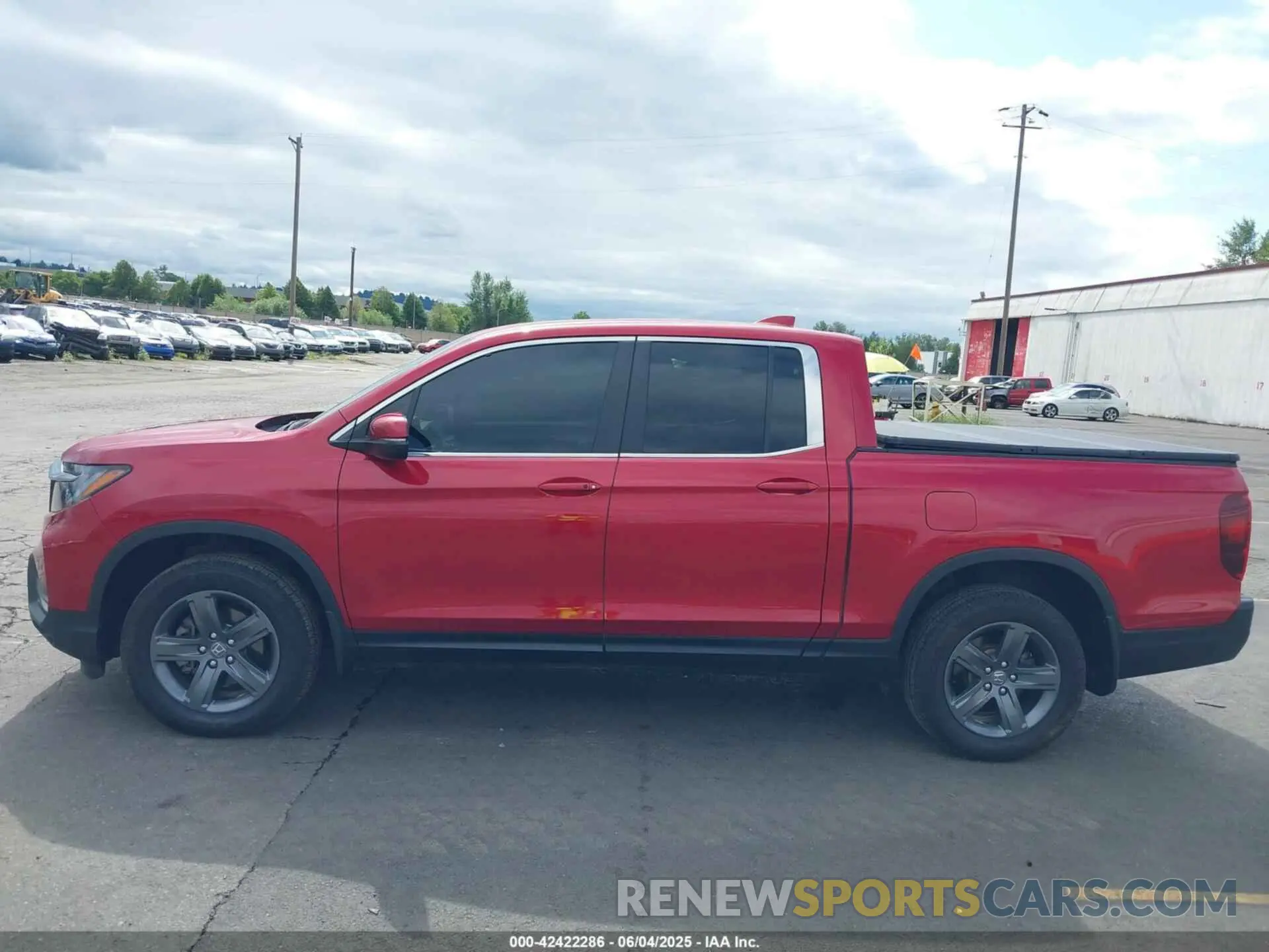 14 Photograph of a damaged car 5FPYK3F51PB015501 HONDA RIDGELINE 2023