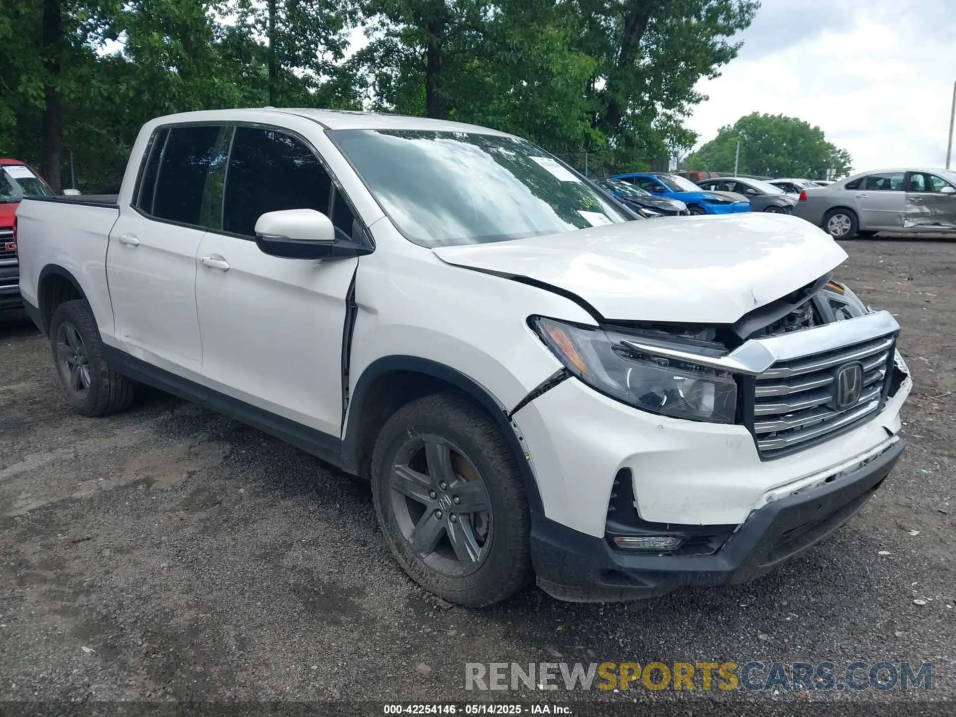 12 Photograph of a damaged car 5FPYK3F53PB003091 HONDA RIDGELINE 2023