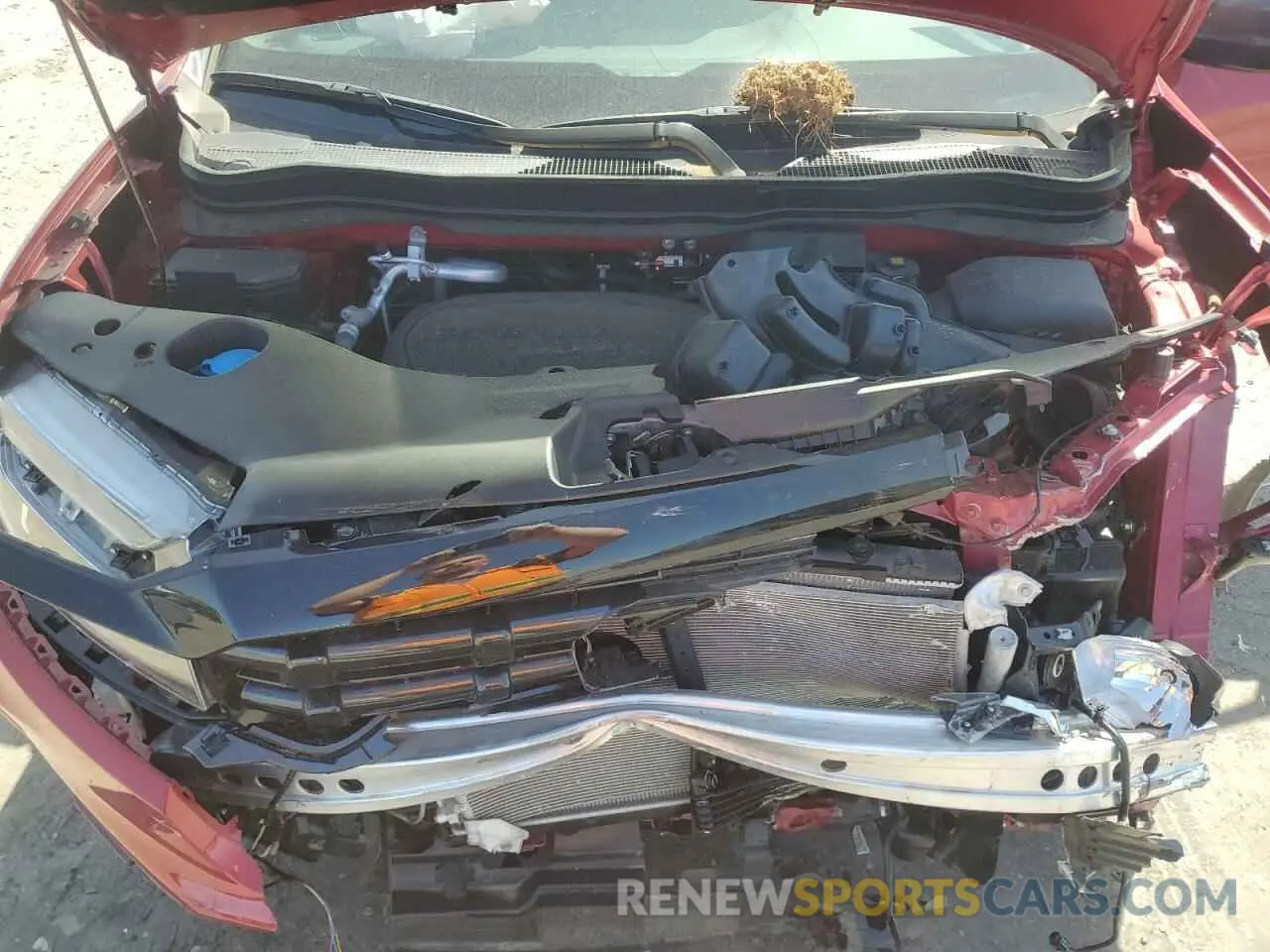 11 Photograph of a damaged car 5FPYK3F1XRB005520 HONDA RIDGELINE 2024