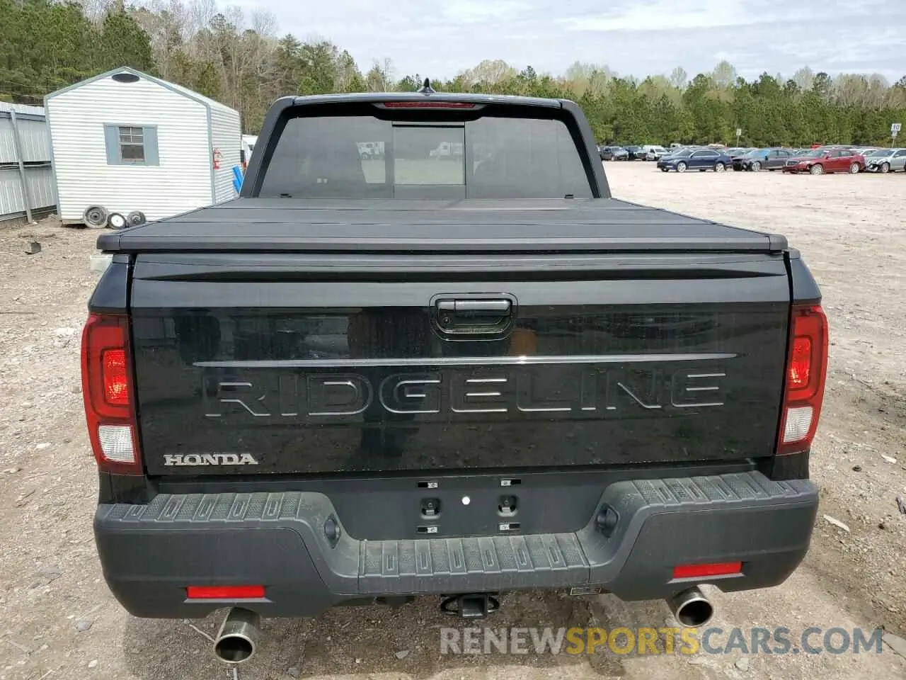 6 Photograph of a damaged car 5FPYK3F43RB024100 HONDA RIDGELINE 2024