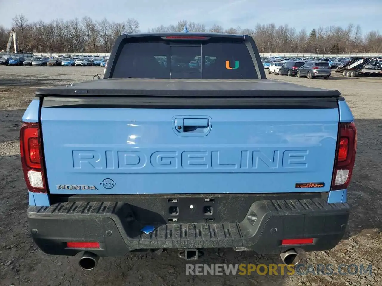 6 Photograph of a damaged car 5FPYK3F65RB026772 HONDA RIDGELINE 2024