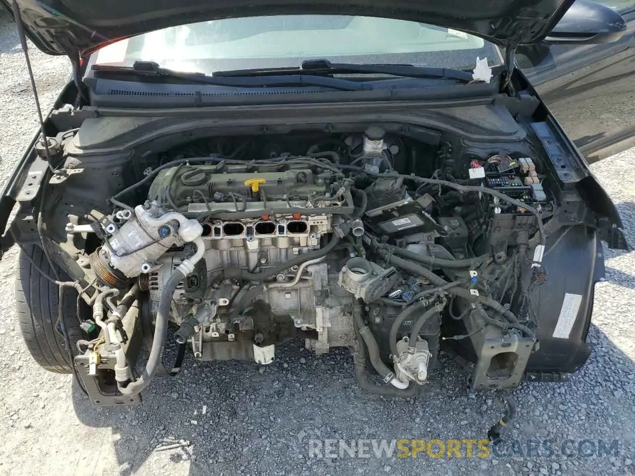 11 Photograph of a damaged car 5NPD84LF7KH422824 HYUNDAI ELANTRA 2019