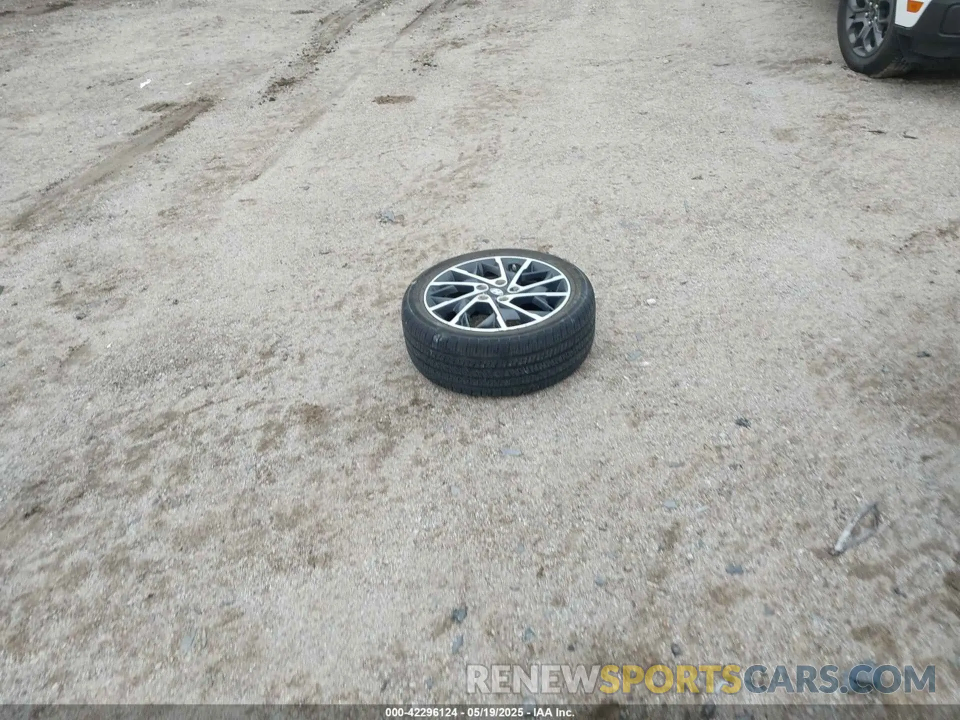 12 Photograph of a damaged car 5NPD84LF9KH449720 HYUNDAI ELANTRA 2019