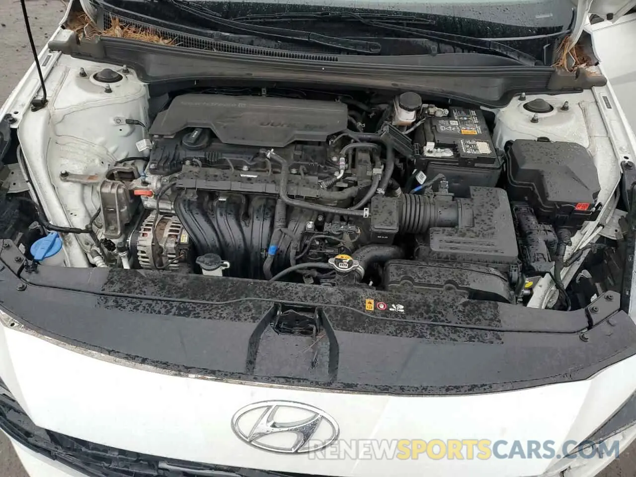 11 Photograph of a damaged car 5NPLS4AG6NH063060 HYUNDAI ELANTRA 2022