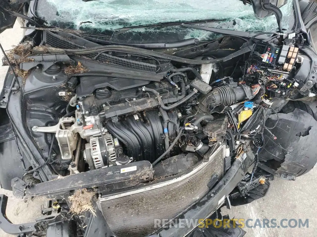 12 Photograph of a damaged car KMHLM4AG6PU424110 HYUNDAI ELANTRA 2023