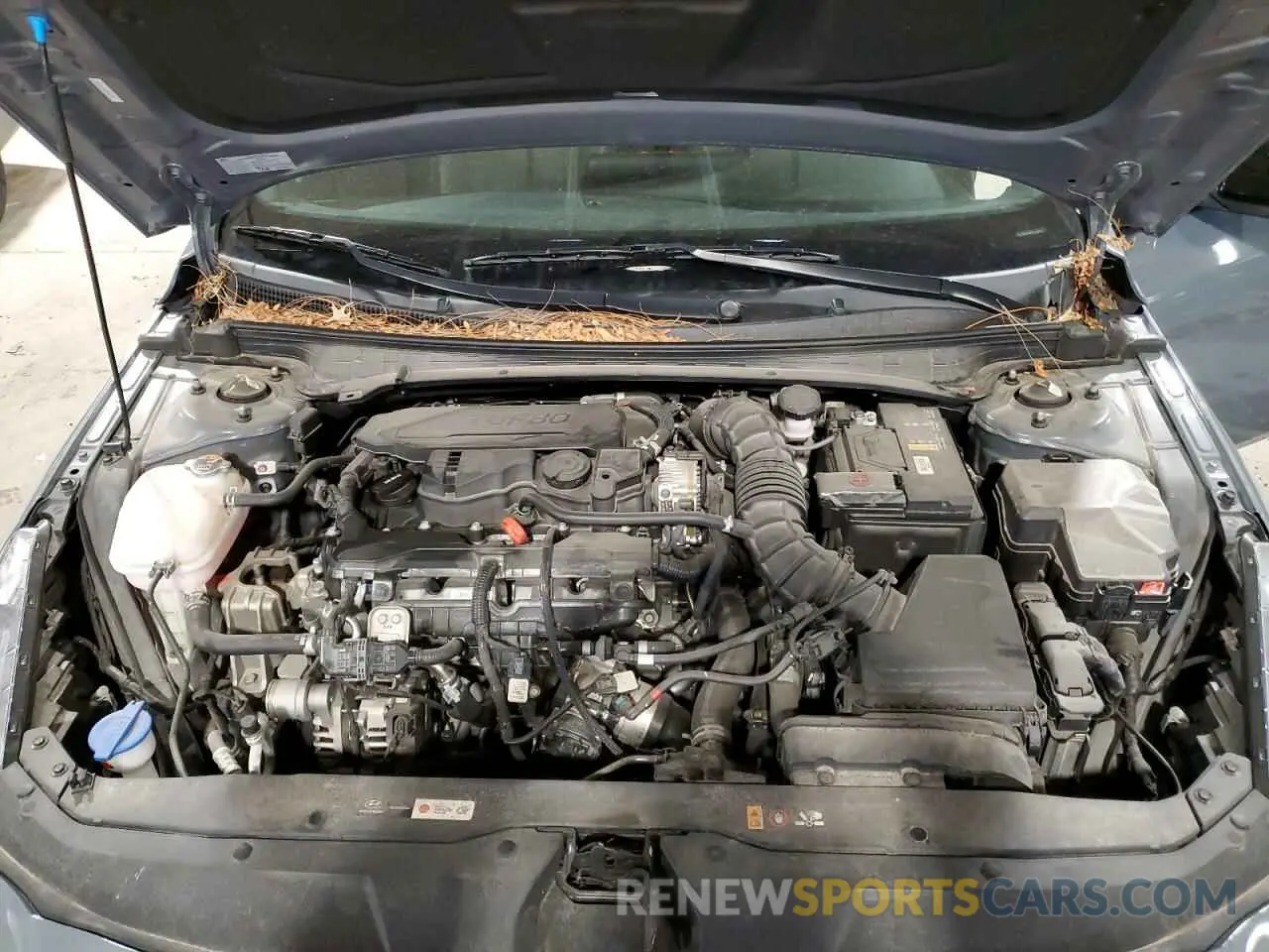 11 Photograph of a damaged car KMHLR4AF6PU414315 HYUNDAI ELANTRA 2023