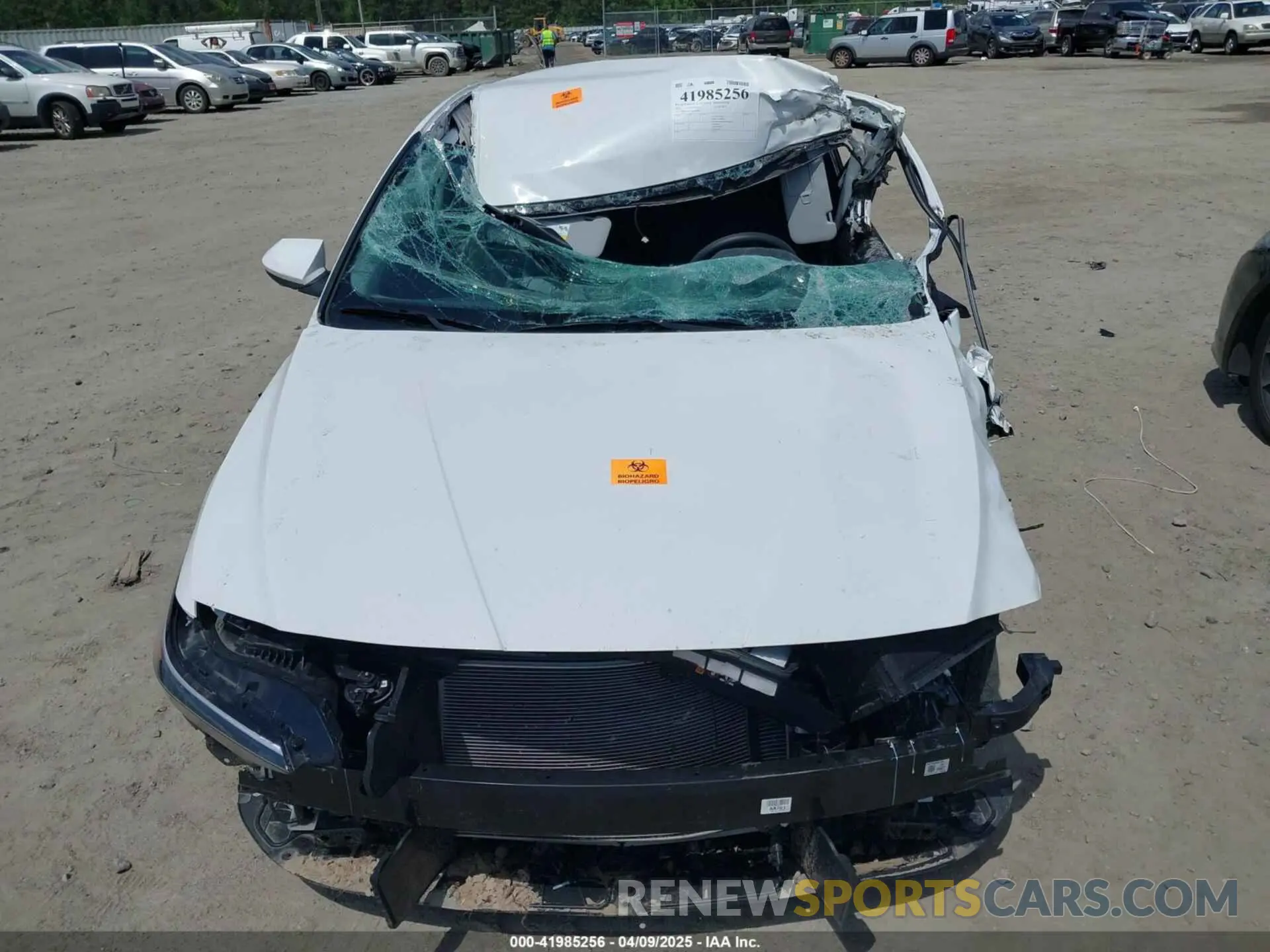6 Photograph of a damaged car KMHLL4DG1RU798092 HYUNDAI ELANTRA 2024