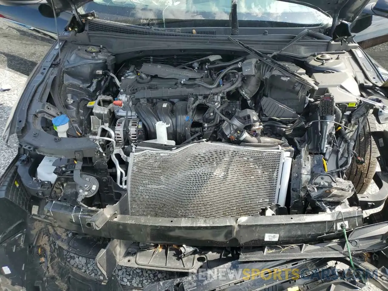 13 Photograph of a damaged car KMHLL4DG7RU800444 HYUNDAI ELANTRA 2024