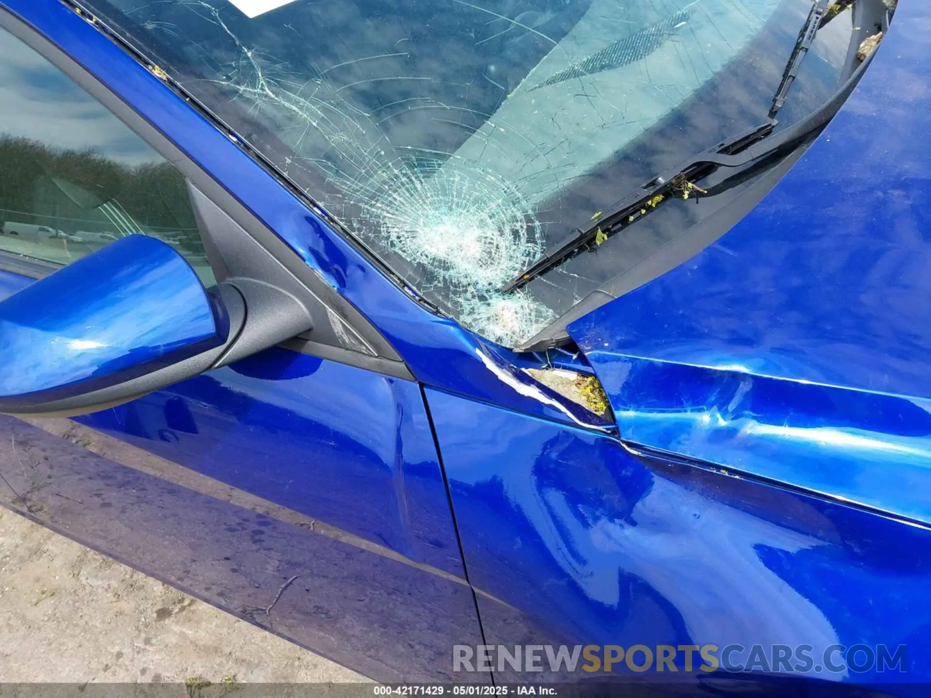 19 Photograph of a damaged car KMHLM4DG1RU667757 HYUNDAI ELANTRA 2024