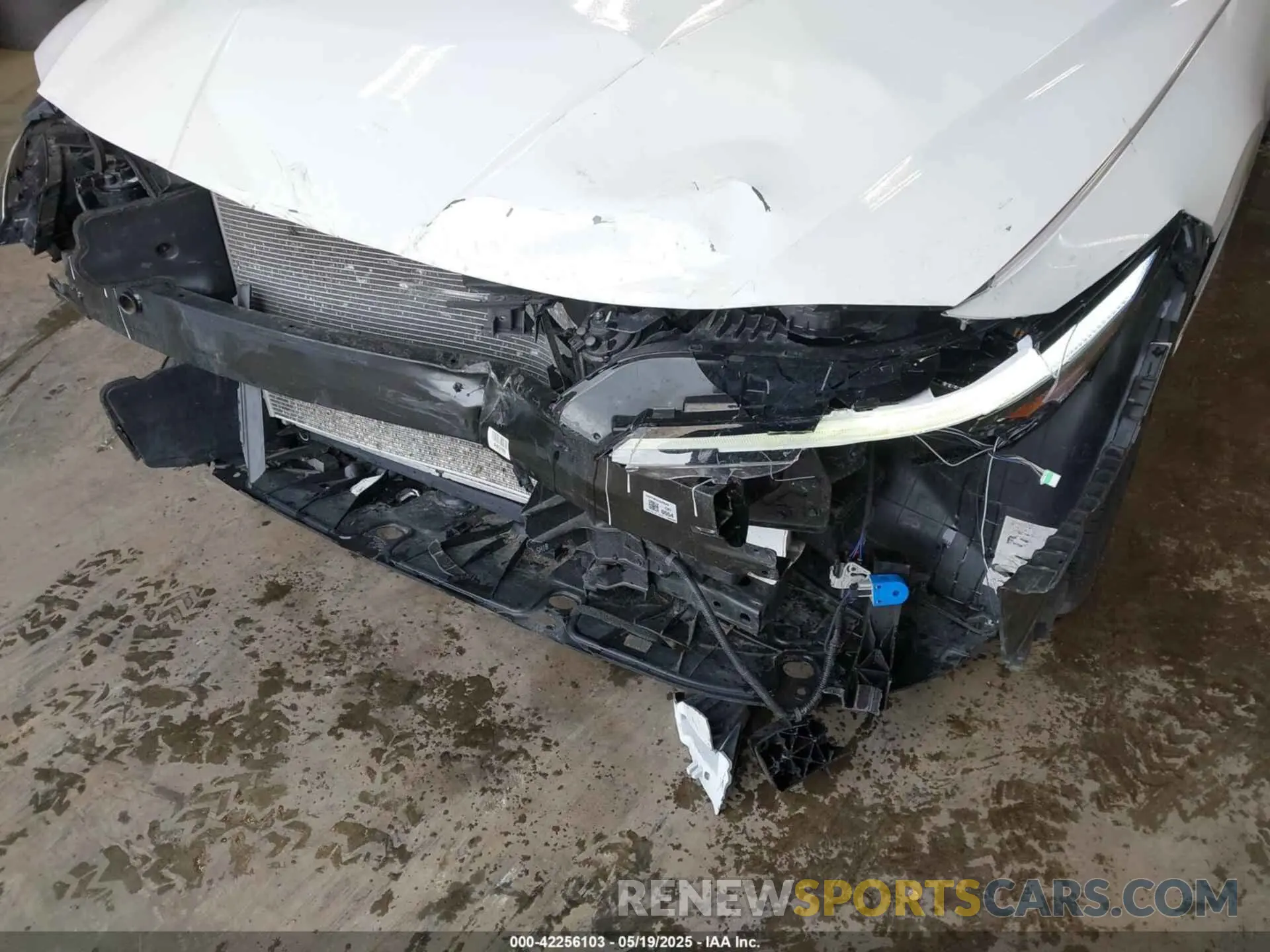6 Photograph of a damaged car KMHLM4DG9RU639379 HYUNDAI ELANTRA 2024