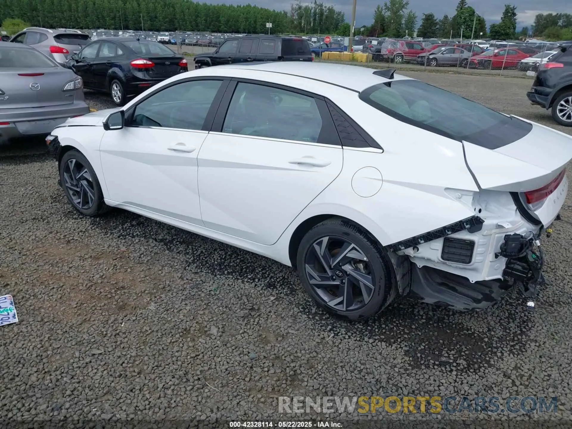 3 Photograph of a damaged car KMHLP4DG3RU837222 HYUNDAI ELANTRA 2024