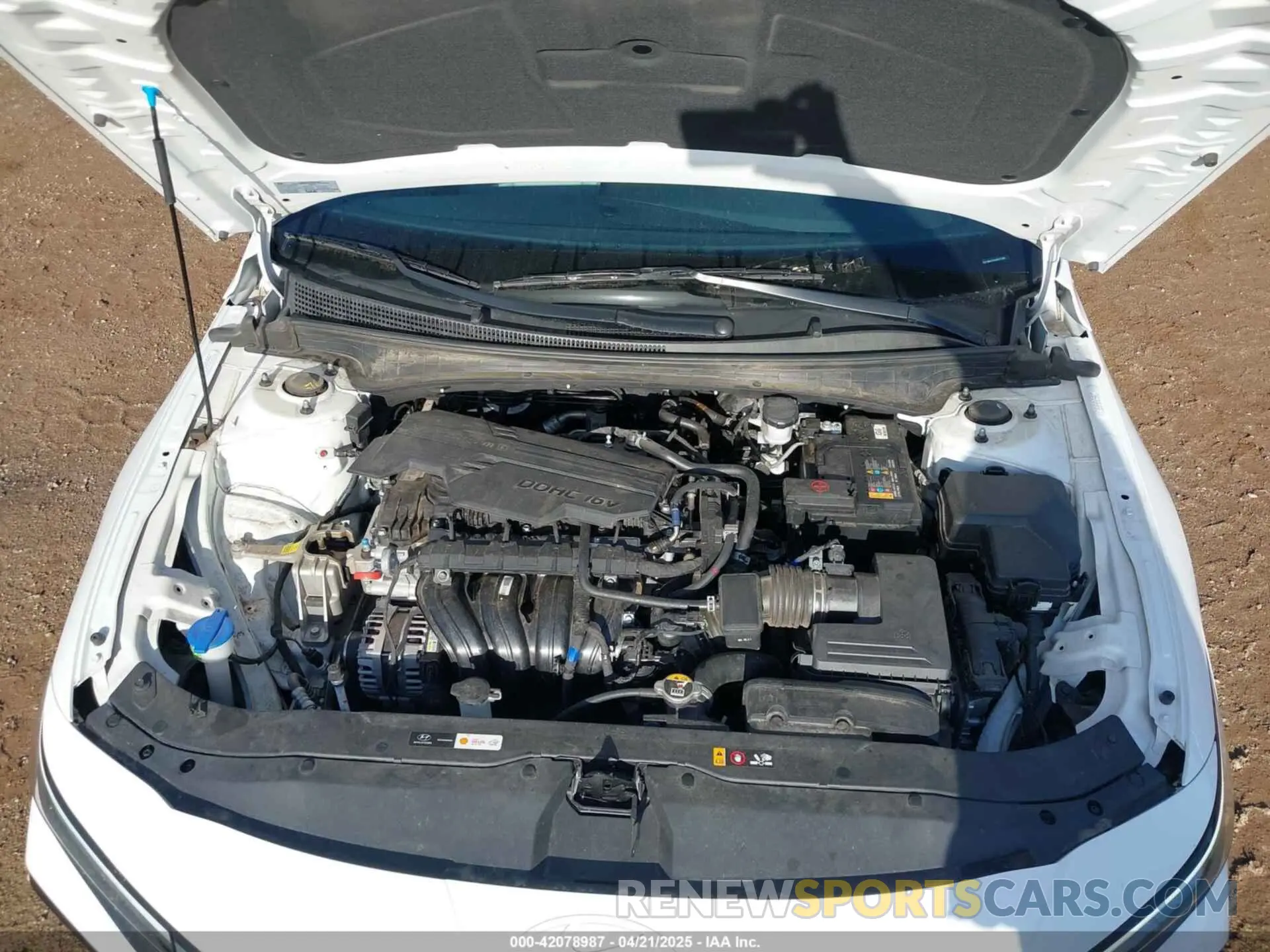 10 Photograph of a damaged car KMHLP4DGXRU775401 HYUNDAI ELANTRA 2024