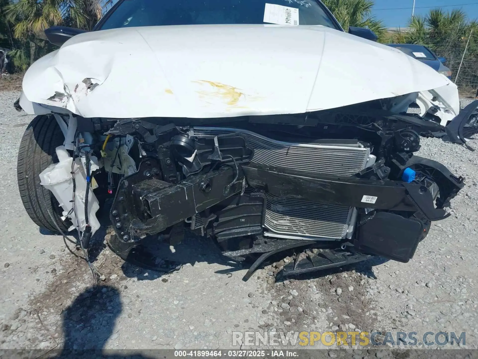 19 Photograph of a damaged car KMHLM4DG7SU903012 HYUNDAI ELANTRA 2025