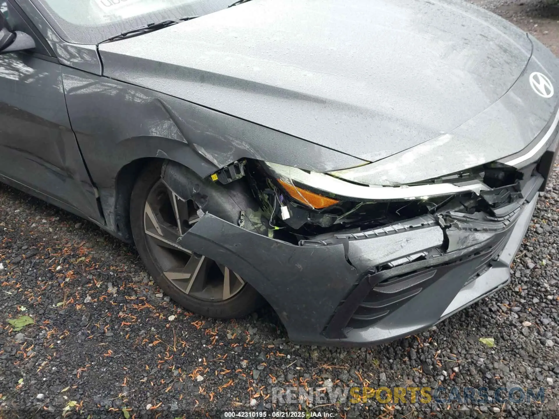 6 Photograph of a damaged car KMHLM4DG9SU876511 HYUNDAI ELANTRA 2025