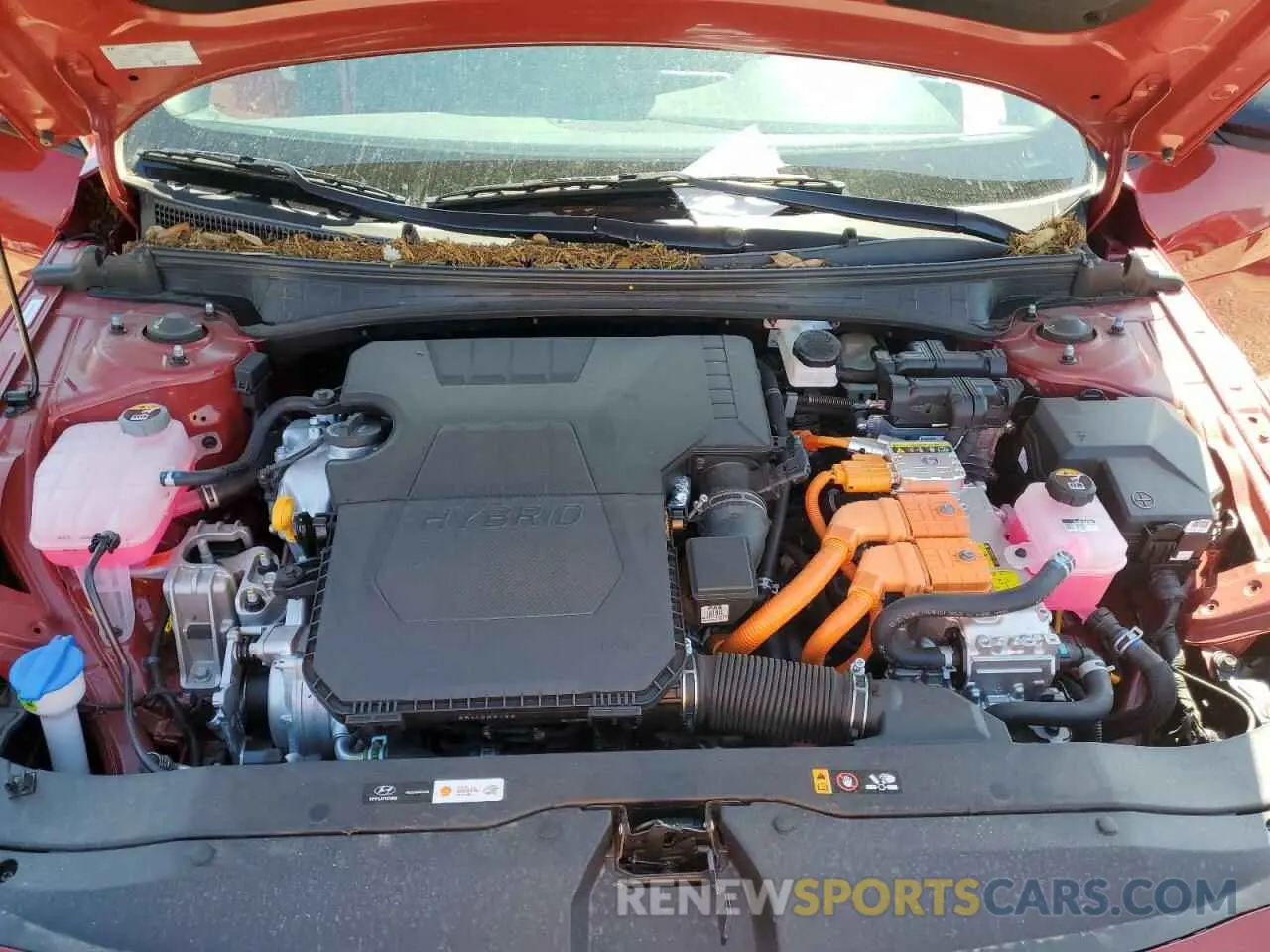 11 Photograph of a damaged car KMHLM4DJ2SU127092 HYUNDAI ELANTRA 2025