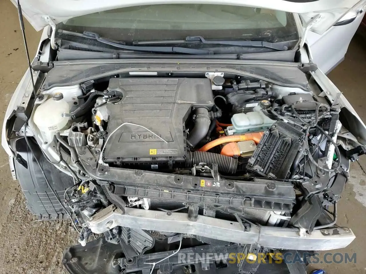 11 Photograph of a damaged car KMHC75LC4KU119558 HYUNDAI IONIQ 2019