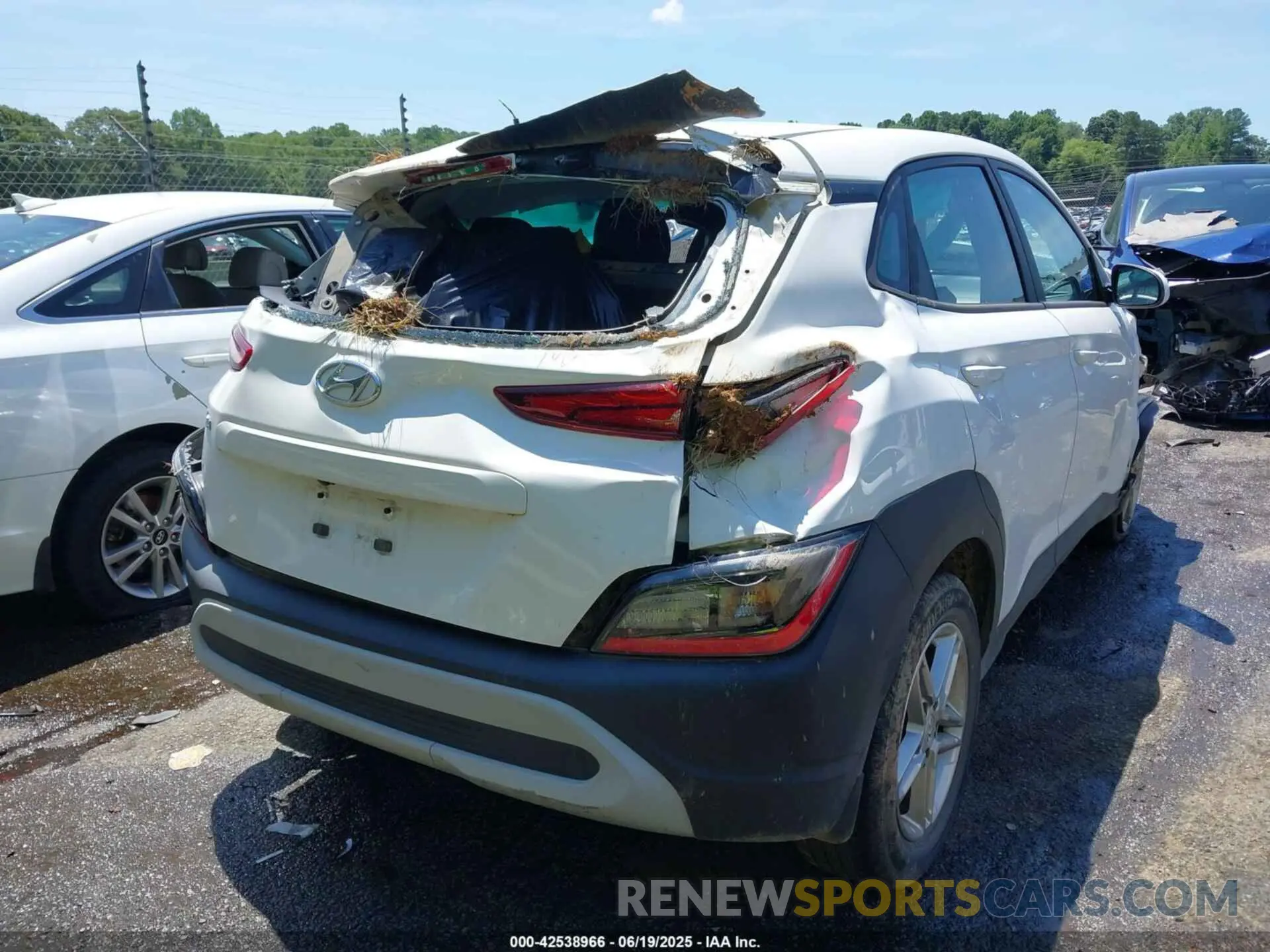 16 Photograph of a damaged car KM8K22AB5NU823047 HYUNDAI KONA 2022