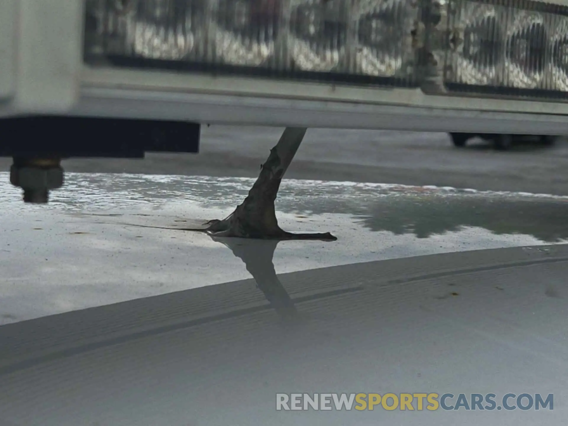 29 Photograph of a damaged car KM8HACAB6RU146258 HYUNDAI KONA 2024