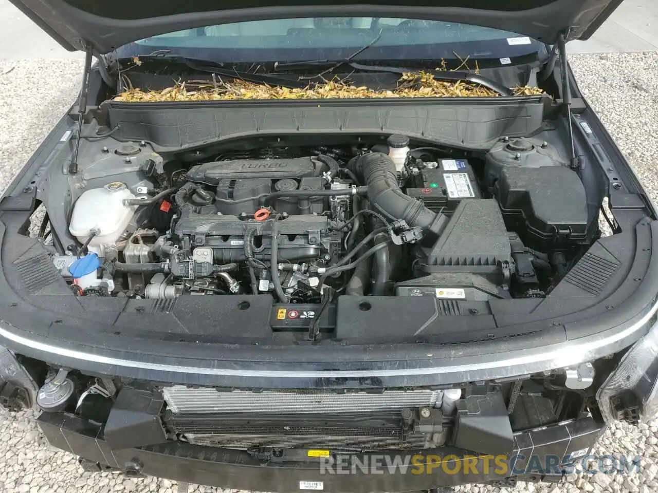 12 Photograph of a damaged car KM8HECA39RU024491 HYUNDAI KONA 2024