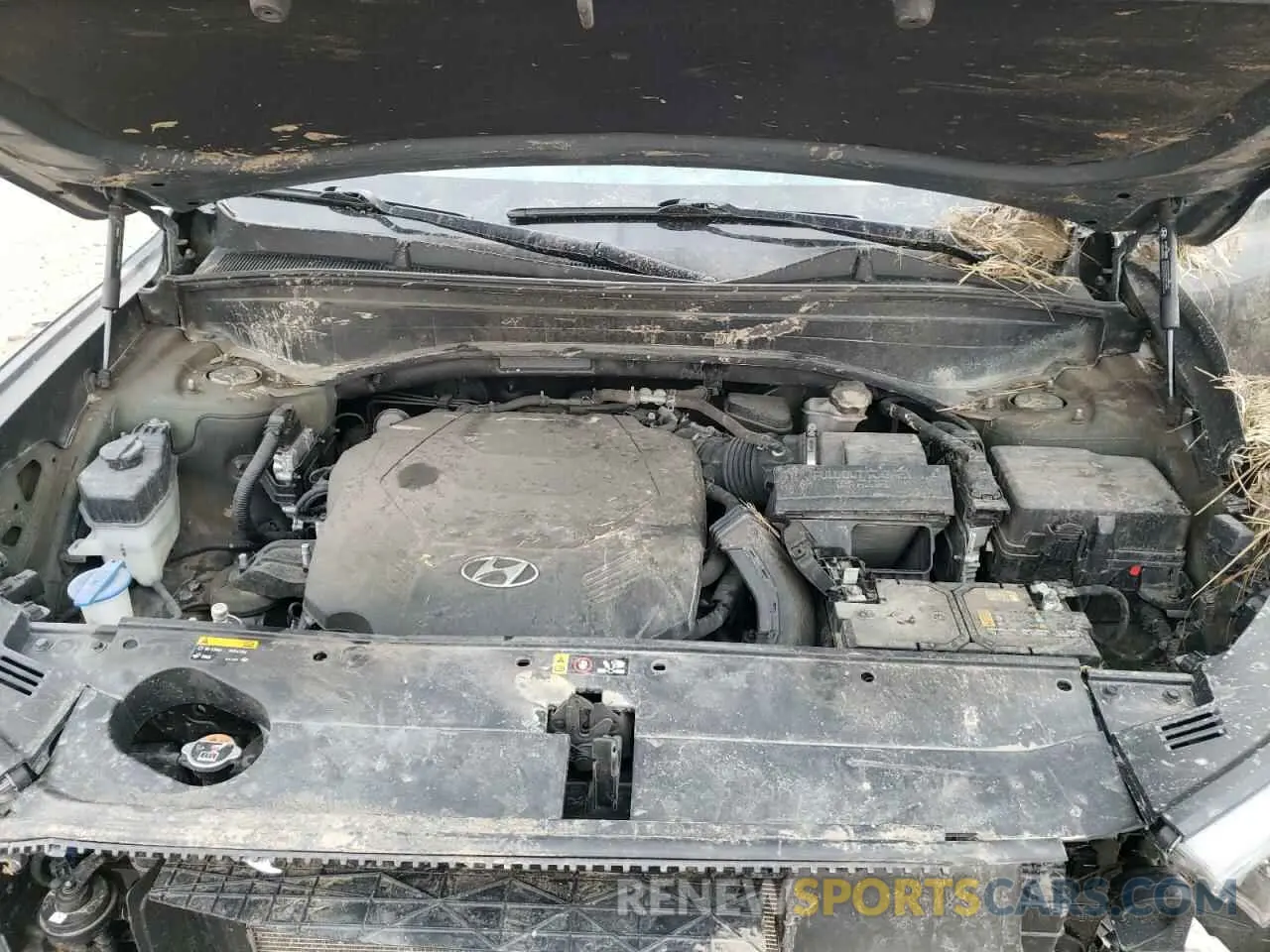 13 Photograph of a damaged car KM8R1DHE8LU057891 HYUNDAI PALISADE 2020