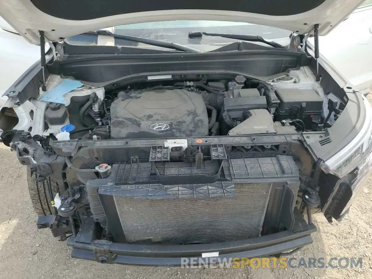 12 Photograph of a damaged car KM8R1DHEXLU065619 HYUNDAI PALISADE 2020