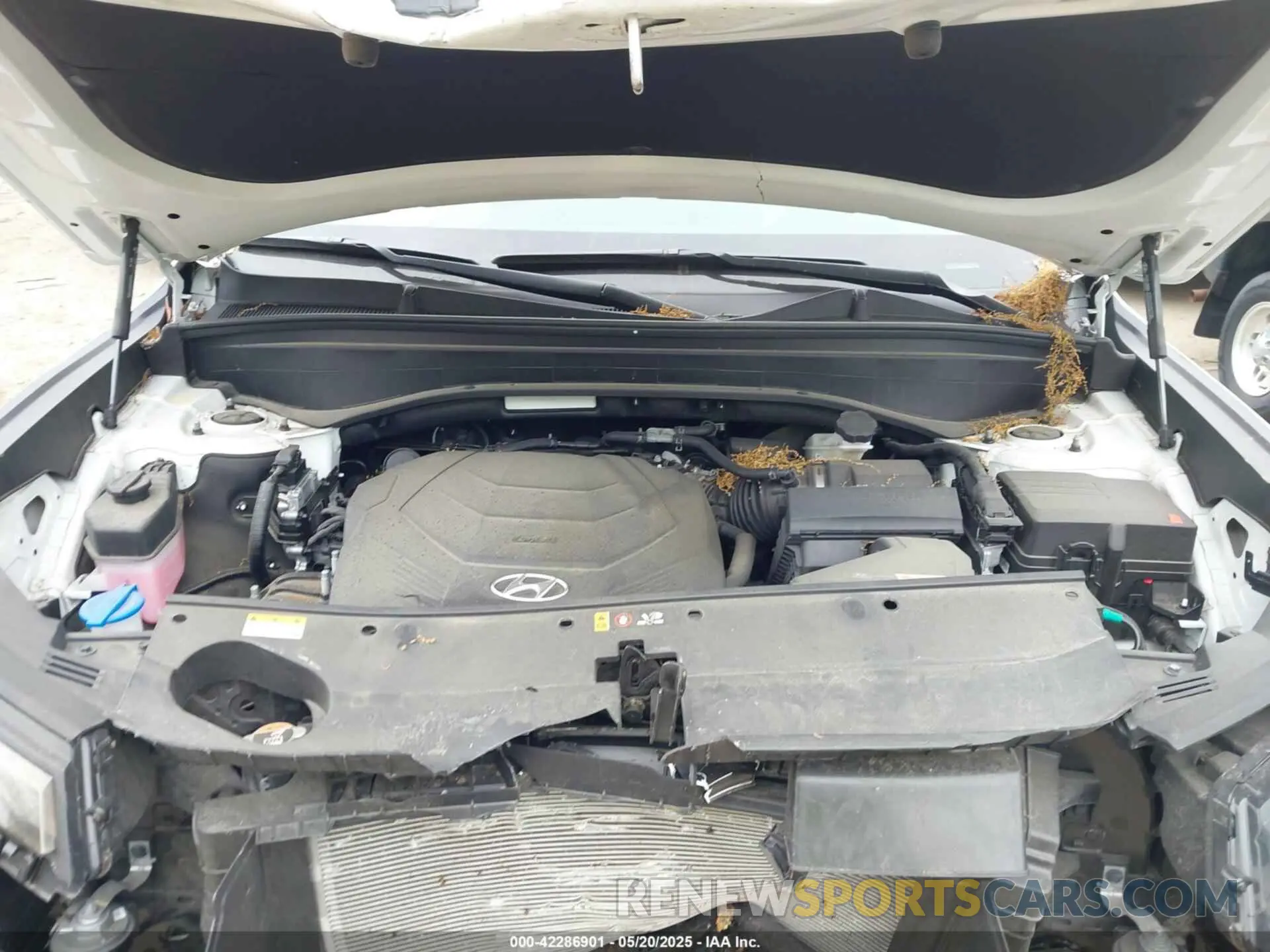 10 Photograph of a damaged car KM8R3DGE4PU576258 HYUNDAI PALISADE 2023