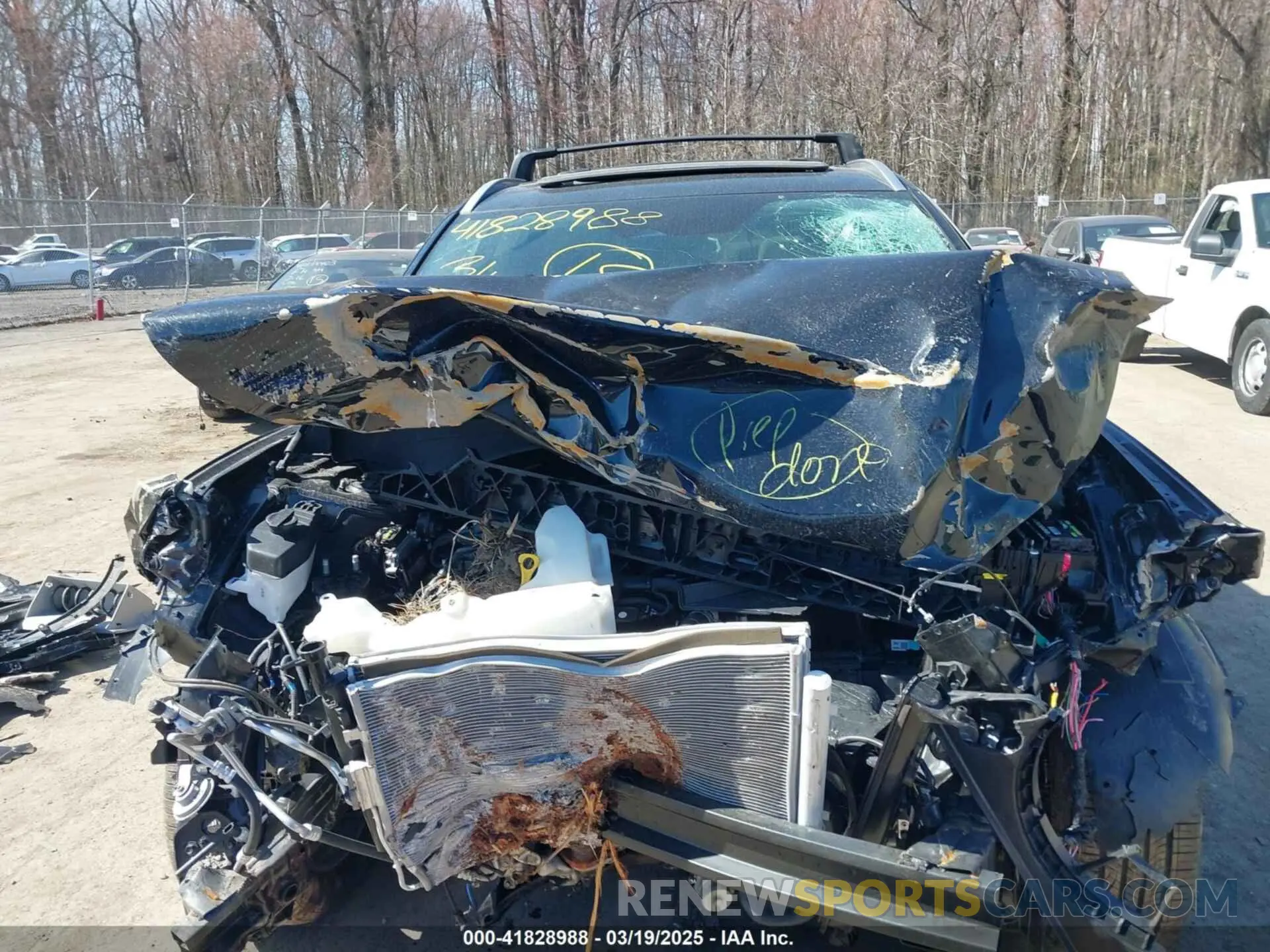 12 Photograph of a damaged car KM8R54GE6RU695555 HYUNDAI PALISADE 2024
