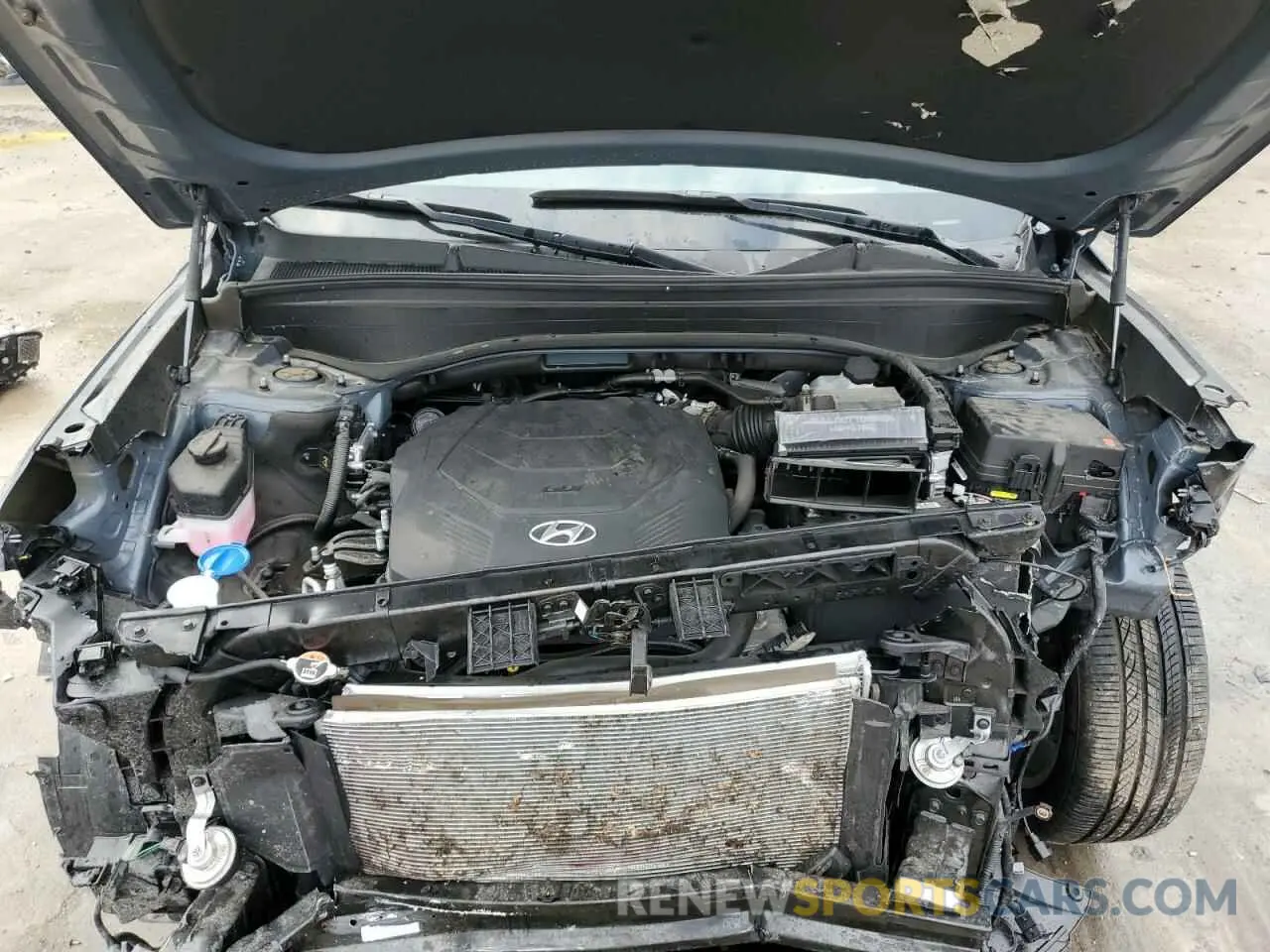 13 Photograph of a damaged car KM8R54GE9RU731125 HYUNDAI PALISADE 2024