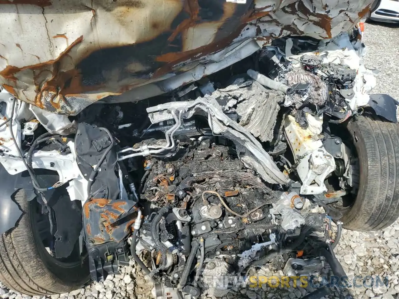 12 Photograph of a damaged car KM8R5DGE1RU664813 HYUNDAI PALISADE 2024