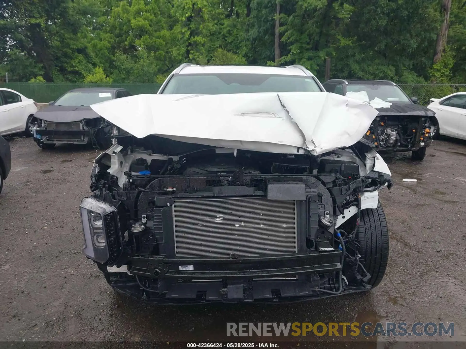 13 Photograph of a damaged car KM8R5DGE3RU740547 HYUNDAI PALISADE 2024