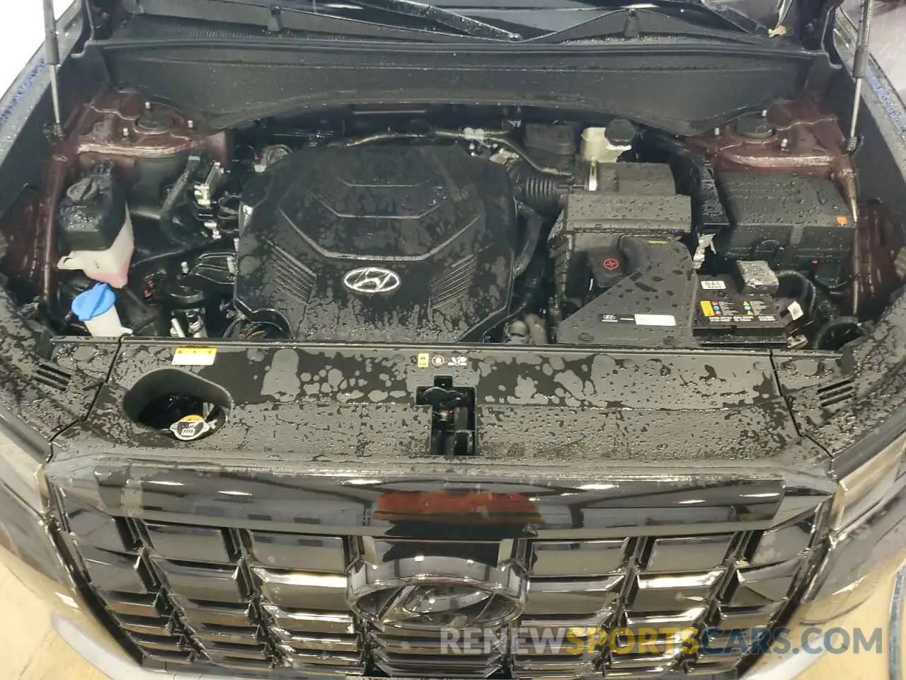 12 Photograph of a damaged car KM8R24GE5SU850840 HYUNDAI PALISADE 2025